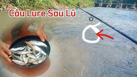 Đi Câu Cá Suối | Lure Cá Mương Suối Sau Cơn Lũ Bằng Mồi Tự Chế Mà Lại Hiệu Quả