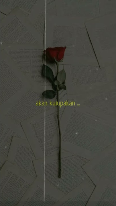STORY WA 2020 TERBARU (Dhyo haw_Yang terlupakan)