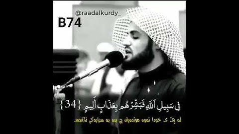 القارئ الشيخ رعد محمد الكردي ( ما تيسر من سورة التوبة )