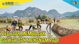 Indonesiaku - Asyiknya Belajar Membajak Sawah dan Menanam Padi