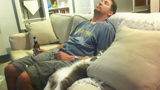 30 Minutes Trending Funniest Cats Memes  Try Not to Laugh