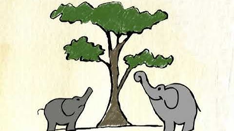 Charles Darwin : théorie de l