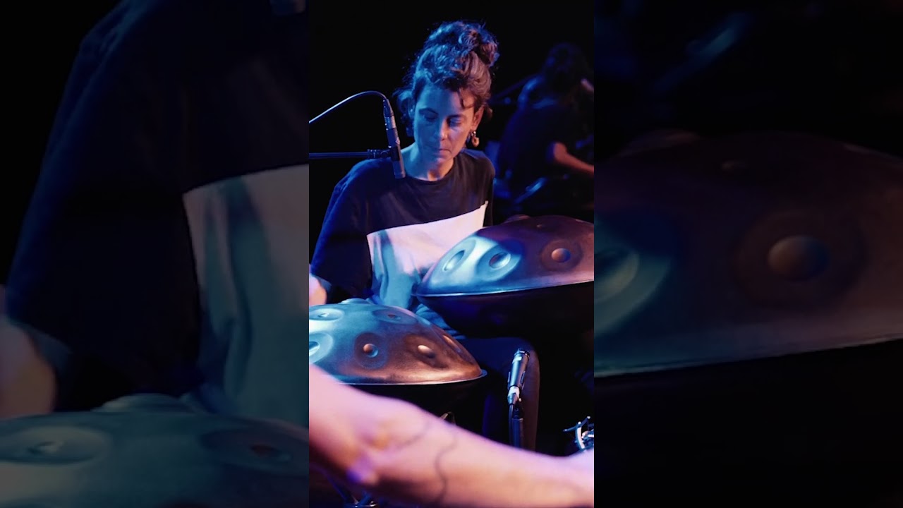 HOMEOSTASIS LIVE!!!! #music #handpan #livelooping