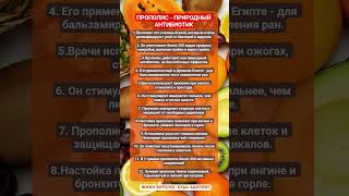 ПРОПОЛИС - ПРИРОДНЫЙ АНТИБИОТИК!!! #зож #здоровье #прополис #еда #пп #мёд #факты #шортс