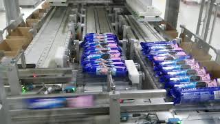 Hi-Speed Secondary Packing solution for Biscuits production line