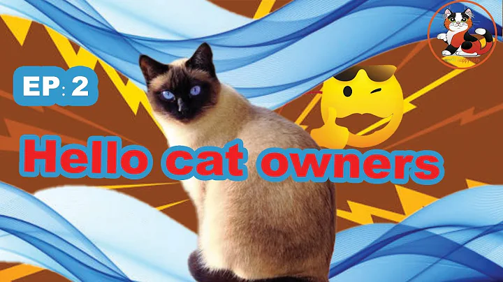 Video 8812111: adopted bengal cat, best bengal cat, bengal cat cute, cat hypoallergenic, happy cat