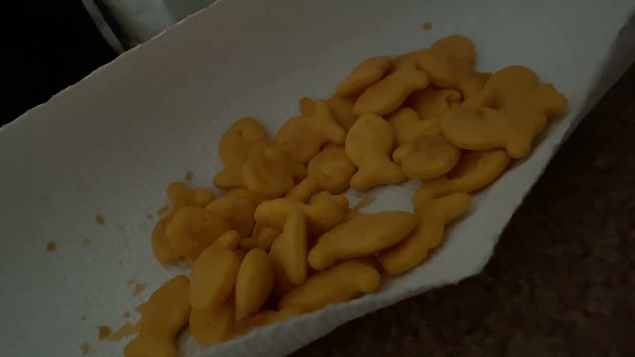 ASMR Eating ASMR Mouth Sounds ASMR Crunch ASMR Drink Sounds