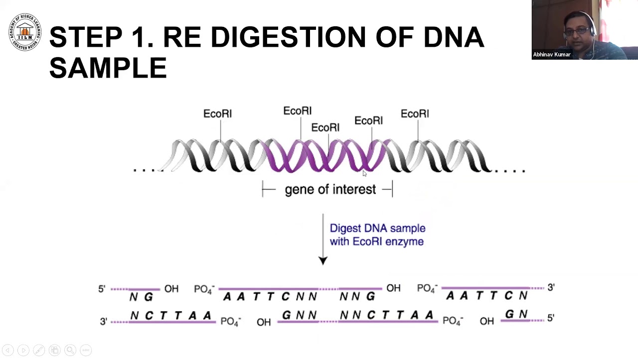 Serial Cloner Molecular cloning serial cloner - tennislua