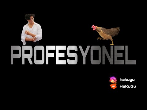 PROFESYONEL 4.BÖLÜM & MUHTEŞEM BİR HİKAYE