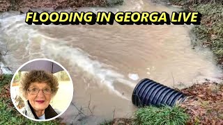 FEB 12 2024 MY PONDS ARE FLOODING TODAY  HELEN IN GA. by helen wyatt 7,462 views 3 months ago 10 minutes