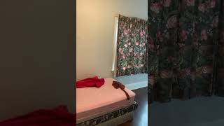 Street To Apt4, April 15, 2022