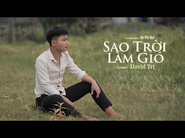 SAO TRỜI LÀM GIÓ - NAL I  David Trị Cover class=