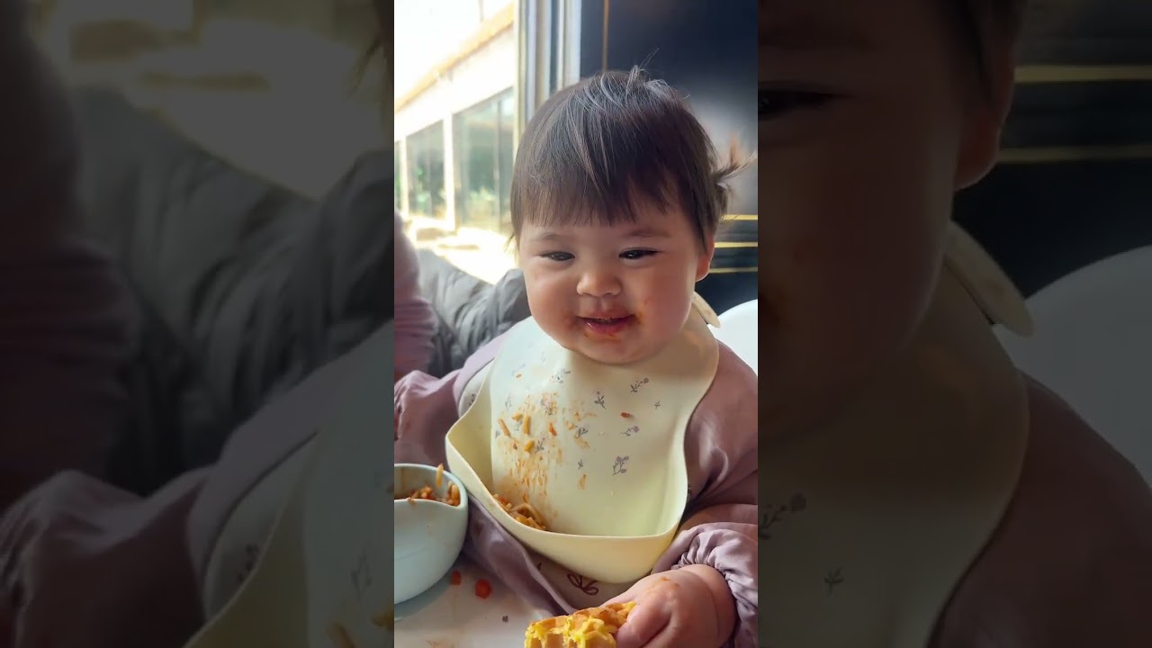 The Heatwave Survival Guide: Feeding Time for Our Furry Friends