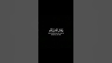 تلاوة خاشعة تريح الأعصاب 💙 تلاوة من سورة النساء 🌱 القارئ الشيخ شريف مصطفى 🍃25ثانية من وقتك ارح قلبك🌸