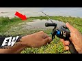 Fishing for snakehead fish in the dense vegetation | Y4E19