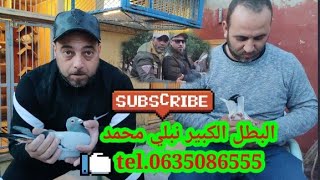 الجزء التاني عند البطل الكبير محمد نبلي فرجة ممتعة