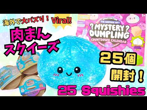 Viral Dumpling Squishy Unboxing! Opening 25 Mystery Squishies