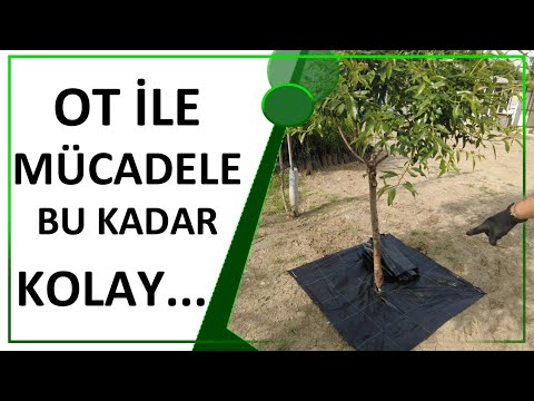 İLAÇSIZ TEK ÇÖZÜM