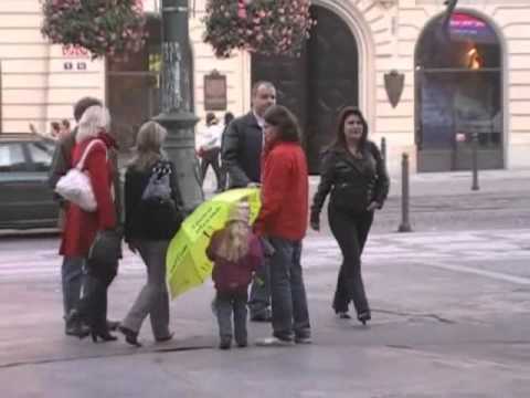 Video: Půvabné Deštníky Astranie. Rostoucí