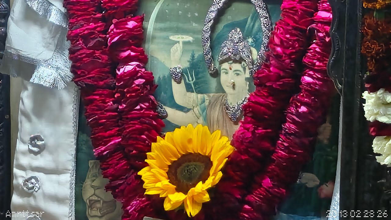 HOLI BHAJAN 28-02-2026 #JAIMATADI