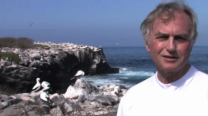 Richard Dawkins: Insurance Policy: Two Eggs, One Survivor