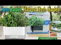 Aerogarden Harvest Home Garden Unboxing and Results