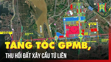 Xây cầu Tứ Liên: Hà Nội ráo riết thu hồi đất, đẩy nhanh tiến độ | Tin tức
