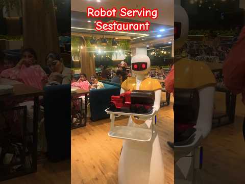 THE ROBOT RESTAURANT