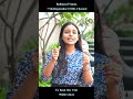 Bollineni Primus | 2 &amp; 3 BHK Senior Living Homes in Sholinganallur, OMR | Chennai