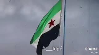 علم الأخضر سوريا جيش الساروت الوصف مهم