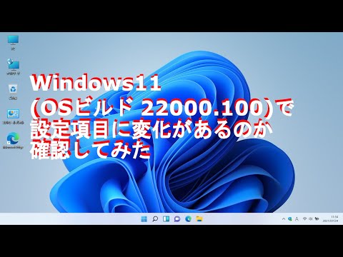Windows11 OSビルド22000.100での設定項目に変化があるのか確認してみた
