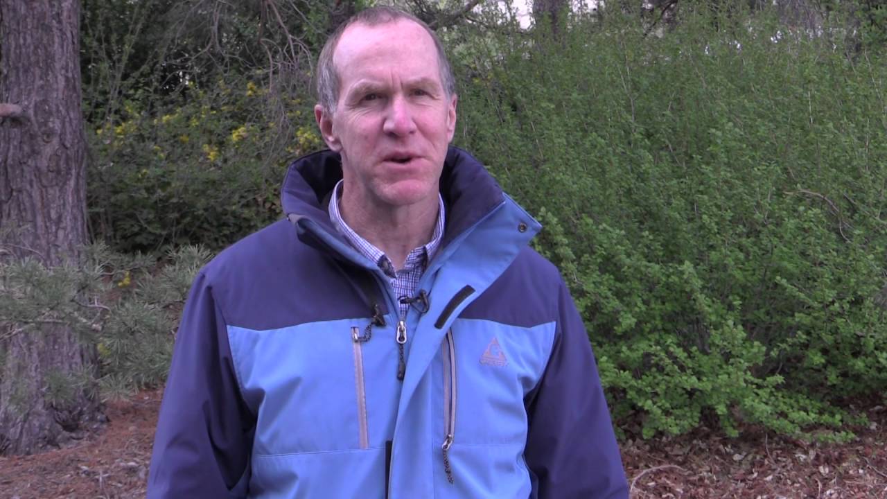 Denver Water gets big boost from April 2016 snowstorm