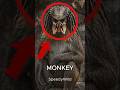 Top 5 Weirdest Monkeys on Earth (They Don’t Look Real 😳