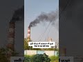 यूपी नोएडा में आसमान में धुआं रोड पर उड़ रही राख #up #ngt #news #noida #reel #ntpcnews