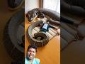 amazing big snake 🐍
