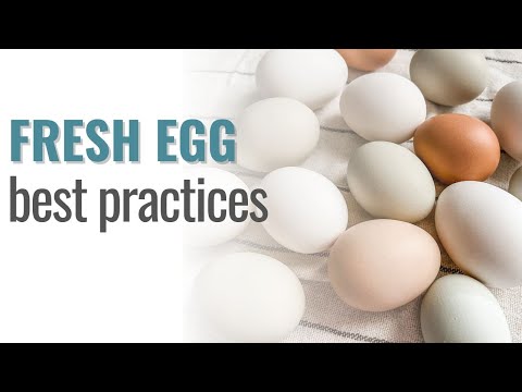 How I clean and store our farm fresh eggs. #farmeggs #fresheggs