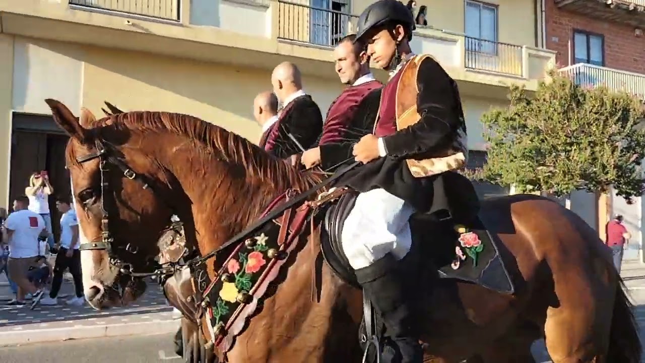 I cavalieri della processione della Madonna di Corte🙏🩵 Sindia 2023