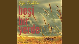 Havada Kar Sesi Var (Çobanın Türküsü) - Soner Soyer