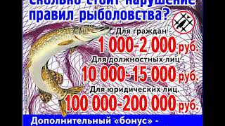 Гаи разъяснение Новые правила рыболовства 2019