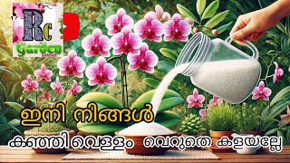 "Boost Orchid Growth Naturally|Rice Water Organic Fertilizer Guide"|Rc garden |9846090759|Malayalam screenshot 2