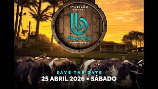 1º LEILÃO VIRTUAL BRANDÃO AGROPECUÁRIA