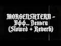 MORGENSHTERN Уфф Деньги Slowed Reverb