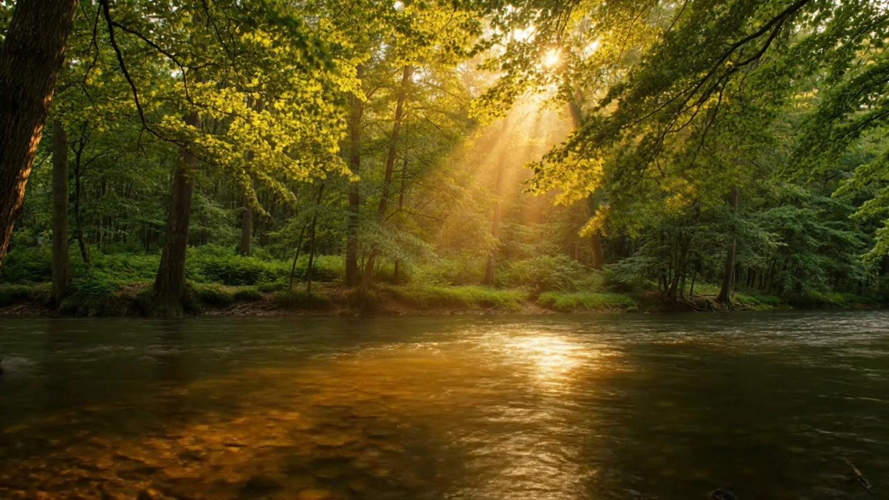 Pure River Study Atmosphere – Smooth Flowing Water for Concentration, Reading, and Deep Work