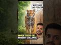 Bengal Tigers Are Saving Our Planet #tiger #wildlife #animals
