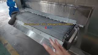 Cbfi 100Kgh Sus304 Integrated Mesh Belt Iqf Tunnel For Food Company
