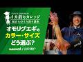 【乗船前必見！】オモリグエギの使い分け徹底解説！｜海中の条件を攻略するカラーとエギサイズの選び方【イカ釣りカレッジ】