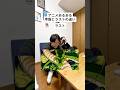 【アニメあるある】序盤とラストの違い #ドラゴンボール#復活のフュージョン#ゴジータ#アニメ#anime#shorts