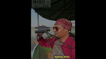 Bird Watching At Paraswada Lake 