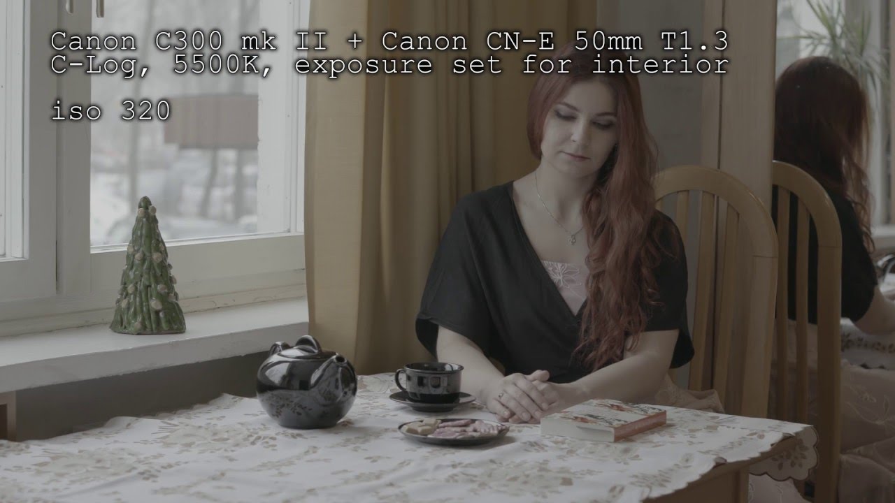 Canon C300 mk II - ISO