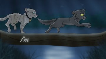 1 Month Graystripe PMV MAP: I Will Always Return (Part 21)
